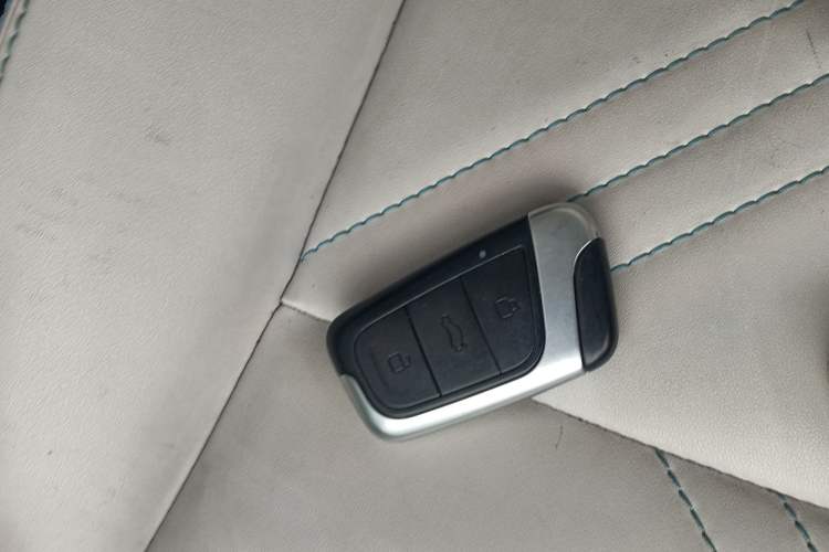 Used Chery New Energy Little Ant 2021 200 000-Yuan Ant Fan Edition Talent Version Lithium Iron Phosphate 301 km Interior 1