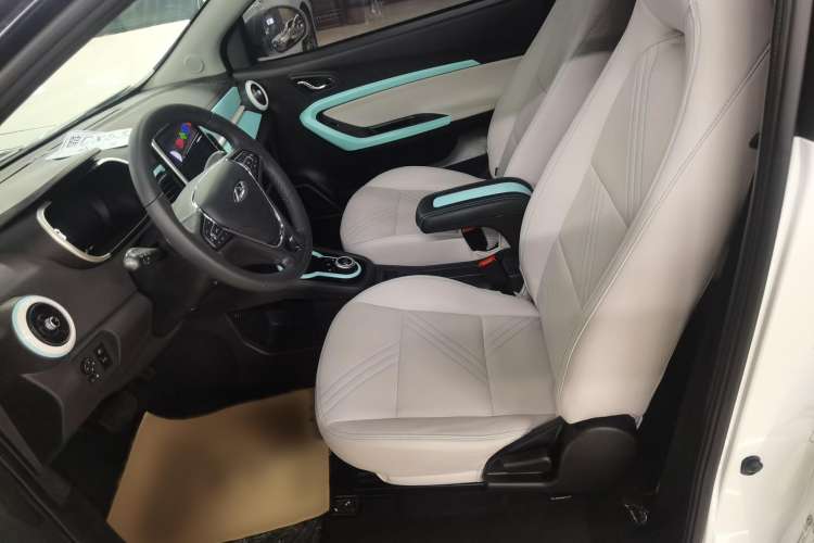 Used Chery New Energy Little Ant 2021 200 000-Yuan Ant Fan Edition Talent Version Lithium Iron Phosphate 301 km Left Front Seat