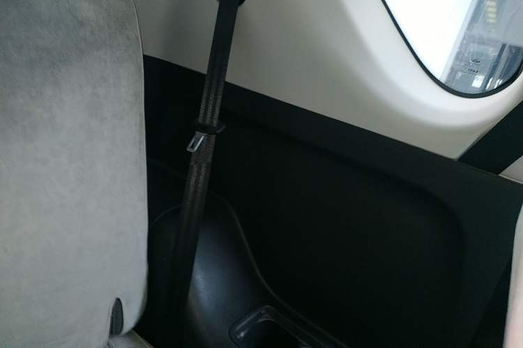 Used Chery New Energy Little Ant 2021 150 000 Yuan Ant Fan Edition Ant Trend Version Lithium-Ion Battery Left Rear Door Interior
