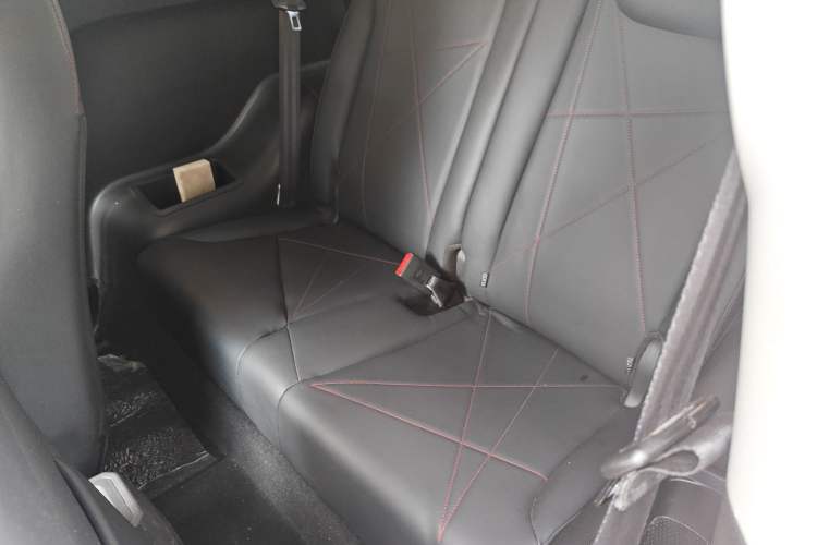 Used Chery New Energy Little Ant 2022 Sweet Pink Edition Low-Sugar Version 30kW 301km Range Left Rear Seat