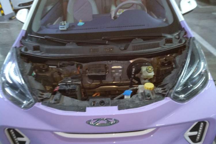 Used Chery New Energy Little Ant 2022 Me 301km Romance Phosphate Lithium-Iron Engine Bay
