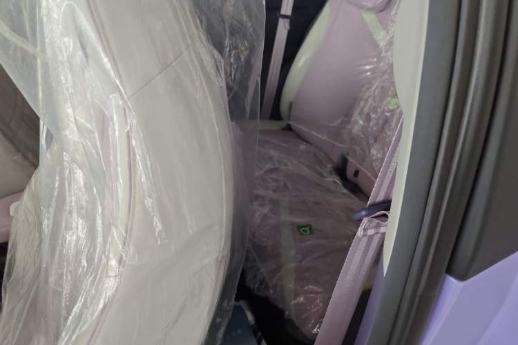 Used Chery New Energy Little Ant 2022 Me 301km Romance Phosphate Lithium-Iron Interior 1