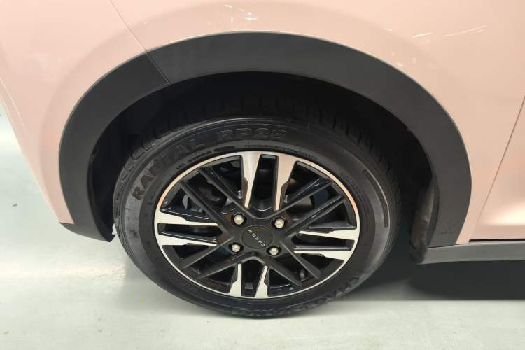 Used Chery New Energy Little Ant 2022 Revised Version Sweet Pink Edition Half-Sugar Version Lithium Iron Phosphate 30.7 kWh 30 kW 301 km Left Front Wheel Hub