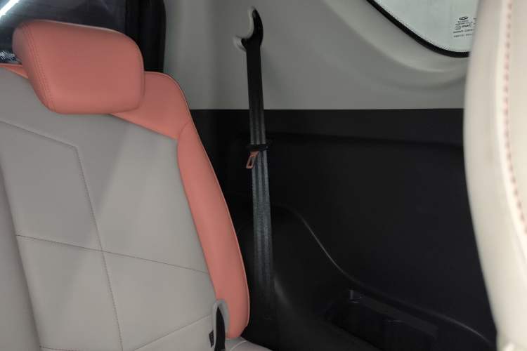 Used Chery New Energy Little Ant 2022 Revised Version Sweet Pink Edition Half-Sugar Version Lithium Iron Phosphate 30.7 kWh 30 kW 301 km Left Rear Door Interior
