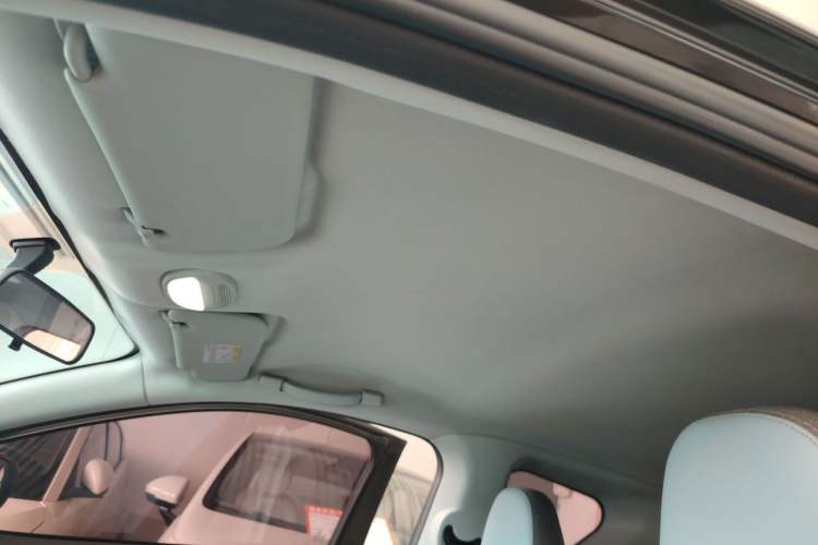 Used Chery New Energy Little Ant 2022 Sweet Pink Edition Half-Sugar Version 3-Cell Lithium 30kW 301km Headliner