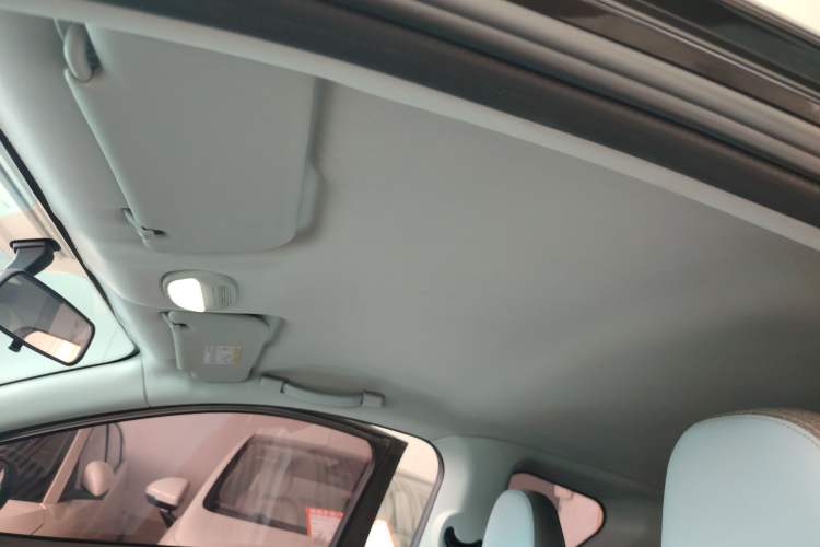 Used Chery New Energy Little Ant 2022 Sweet Pink Edition Half-Sugar Version 3-Cell Lithium 30kW 301km Interior 5