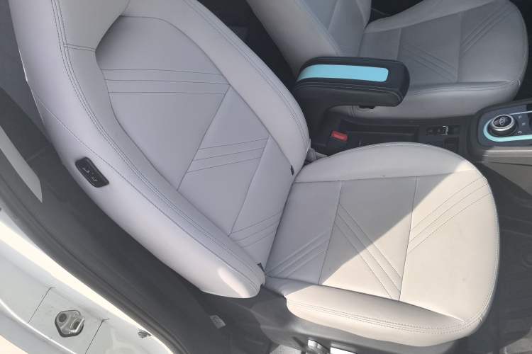 Used Chery New Energy Little Ant 2022 Sweet Pink Edition Half-Sugar Version Lithium Iron Phosphate 30 kW 301 km Right Front Seat