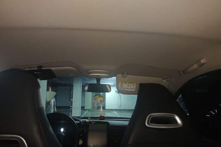 Used Chery New Energy Little Ant 2023 251km True Love Edition Lithium Iron Phosphate Headliner