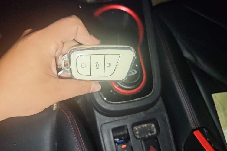 Used Chery New Energy Little Ant 2023 251km True Love Edition Lithium Iron Phosphate Interior 1