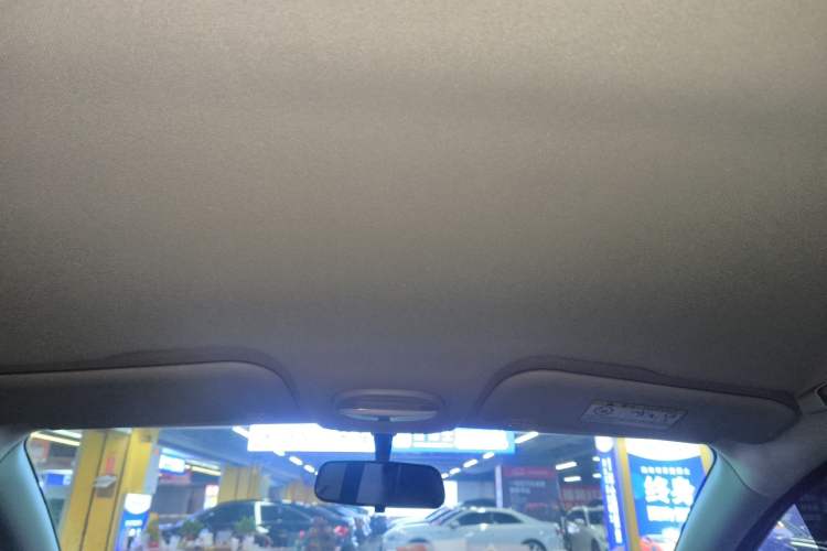 Used Chery New Energy Little Ant 2023 251km True Love Edition Lithium Iron Phosphate Headliner