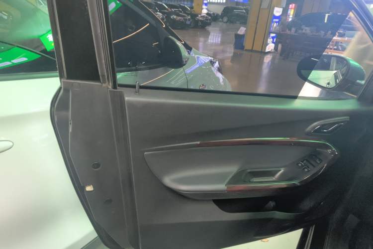 Used Chery New Energy Little Ant 2023 251km True Love Edition Lithium Iron Phosphate Left Front Door Interior