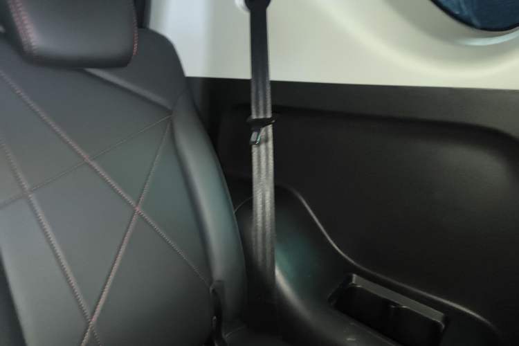 Used Chery New Energy Little Ant 2023 251km True Love Edition Lithium Iron Phosphate Left Rear Door Interior