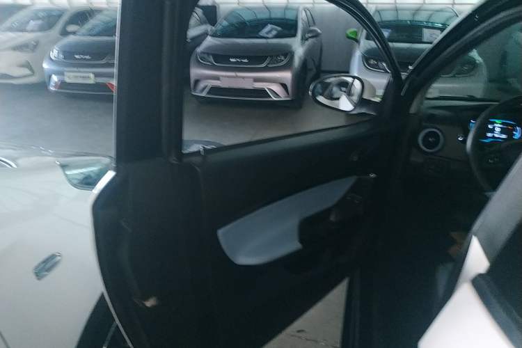 Used Chery New Energy Little Ant 2023 251km True Love Edition Lithium Iron Phosphate Left Front Door Interior
