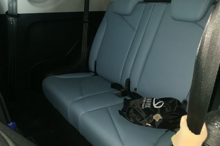 Used Chery New Energy Little Ant 2023 251km True Love Edition Lithium Iron Phosphate Left Rear Seat