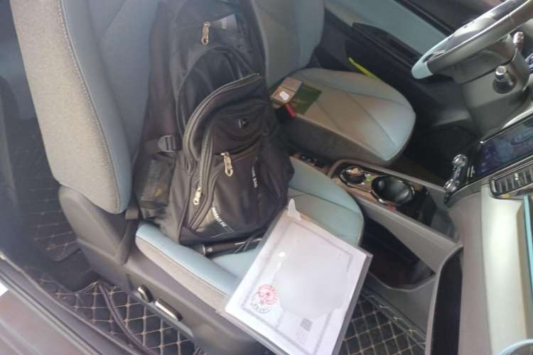 Used Chery New Energy Little Ant 2023 251km True Love Edition Lithium Iron Phosphate Right Front Seat