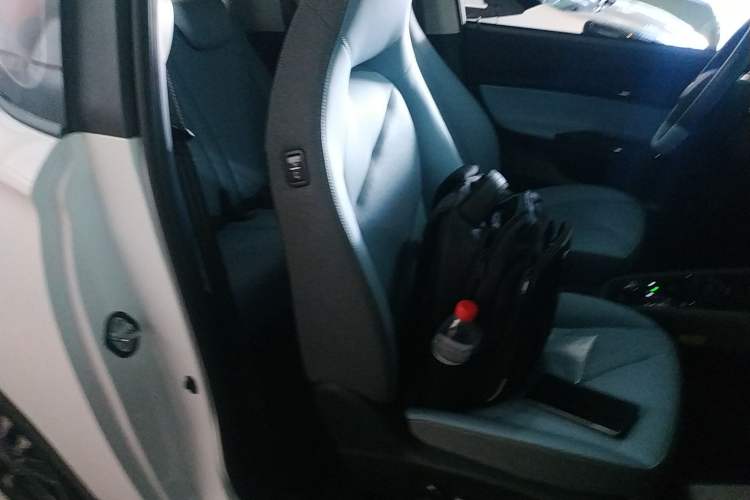 Used Chery New Energy Little Ant 2023 251km True Love Edition Lithium Iron Phosphate Right Front Seat