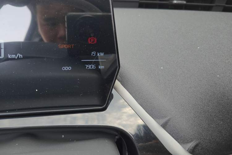Used Chery New Energy Little Ant 2024 321km Love Edition Odometer Close Up