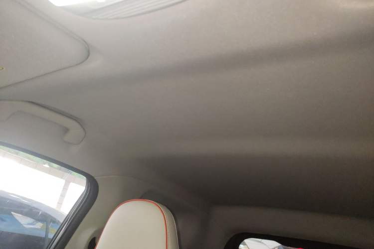 Used Chery New Energy Little Ant 2024 Facelifted 321km Beloved Edition Headliner