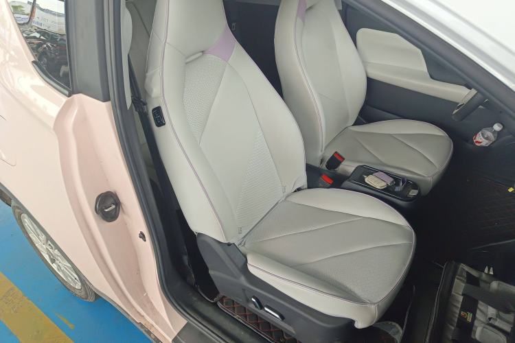 Used Chery New Energy Little Ant 2024 Facelifted 321km Beloved Edition Right Front Seat