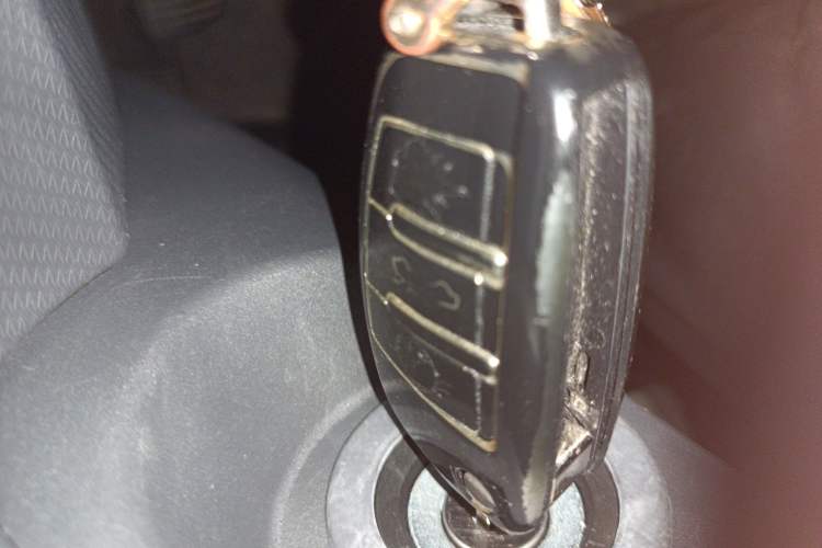 Used Chery New Energy QQ Ice Cream 2024 170km Sundae Vehicle Key