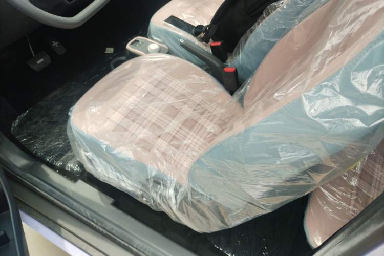 Used Chery New Energy QQ Ice Cream 2024 Edition Youth Version 205km Sundae Left Front Seat
