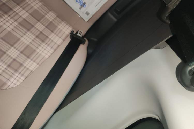 Used Chery New Energy QQ Ice Cream 2024 Edition Youth Version 205km Sundae Right Rear Door Interior