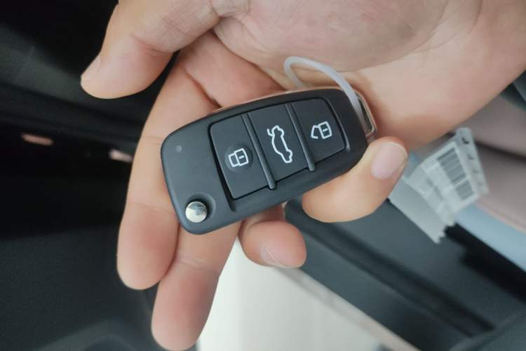 Used Chery New Energy QQ Ice Cream 2024 Edition Youth Version 205km Sundae Vehicle Key