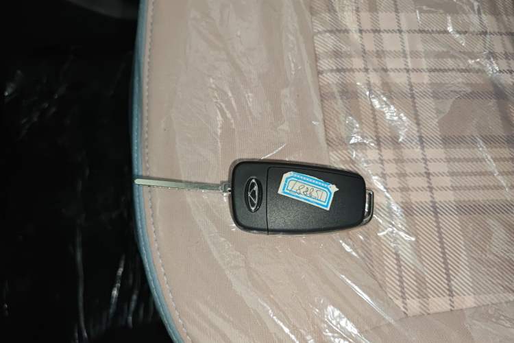 Used Chery New Energy QQ Ice Cream 2025 155km Sundae Edition Vehicle Key