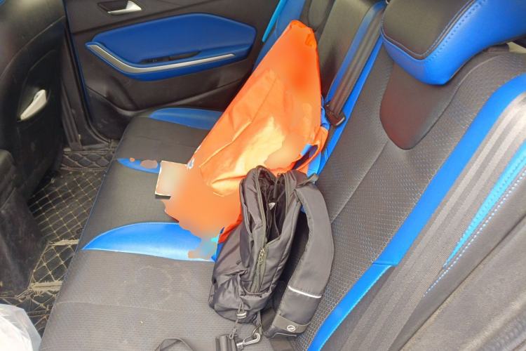 Used Chery New Energy Tiggo 3xe 2018 480 Comfort Edition Left Rear Seat