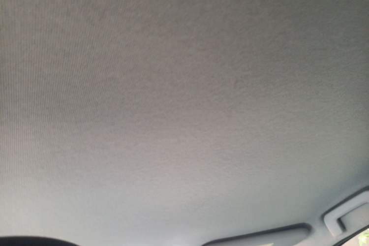 Used Chery New Energy Tiggo 3xe 2018 480 Chanyou Edition Headliner