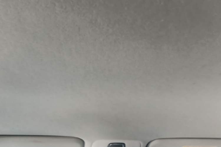 Used Chery New Energy Tiggo 3xe 2018 400 Comfort Edition Headliner