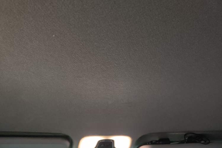 Used Chery New Energy Tiggo 3xe 2018 480 Comfort Edition Headliner