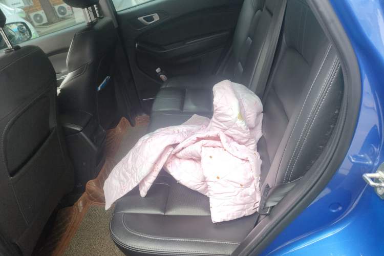 Used Chery New Energy Tiggo e 2019 Luxury Edition Left Rear Seat