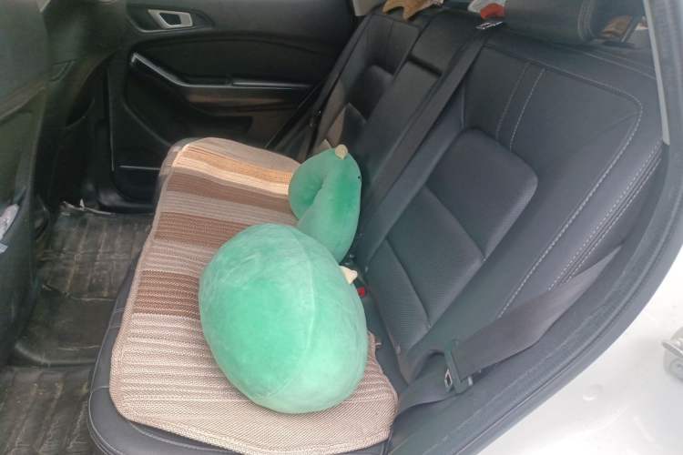 Used Chery New Energy Tiggo e 2019 Enjoyment Edition Left Rear Seat