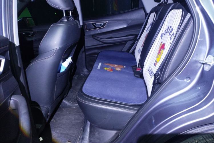 Used Chery New Energy Tiggo e 2021 Tiger Roar Edition 95kW Left Rear Seat
