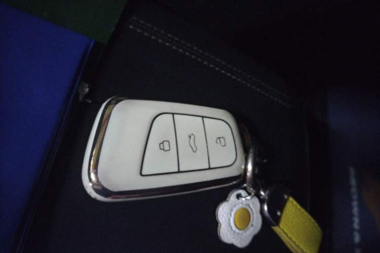 Used Chery New Energy Tiggo e 2021 Tiger Roar Edition 95kW Vehicle Key