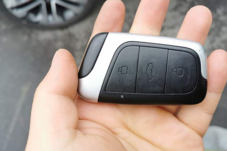Used Chery New Energy Tiggo e 2021 Tiger Roar Edition 95kW Vehicle Key