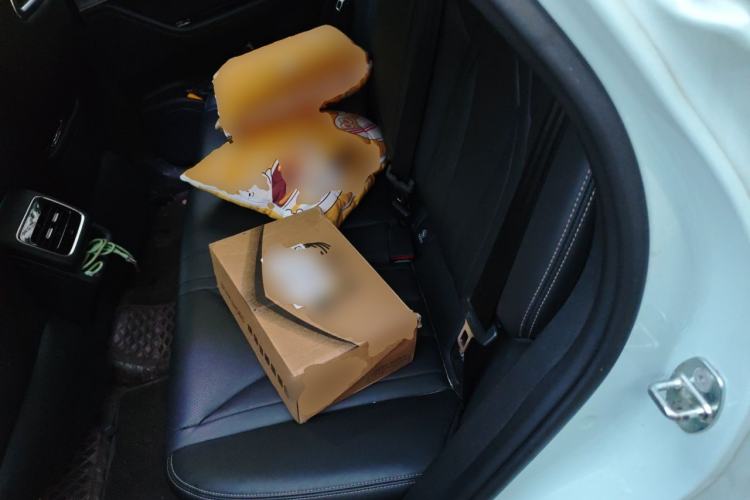 Used Chery OMODA 2022 1.5T CVT Yujie Edition Left Rear Seat
