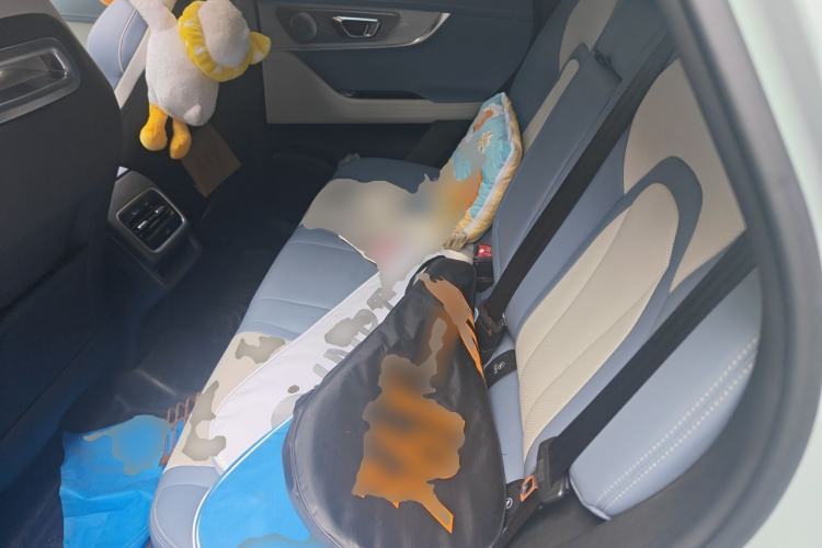 Used Chery OMODA 2022 1.6 TGDI DCT Ultra-Dimensional Edition Left Rear Seat