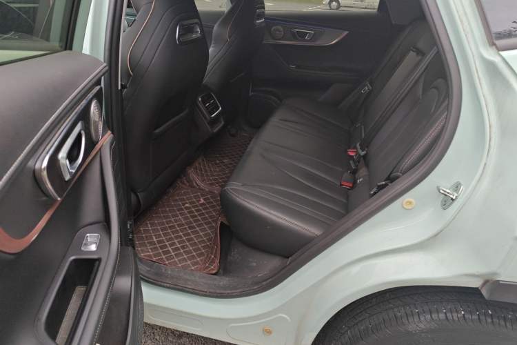 Used Chery OMODA 2022 1.5T CVT Top-Range Version Left Rear Seat