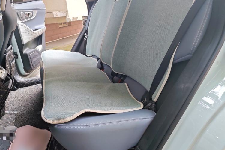 Used Chery OMODA 2022 1.6 TGDI DCT High-Dimensional Version Left Rear Seat