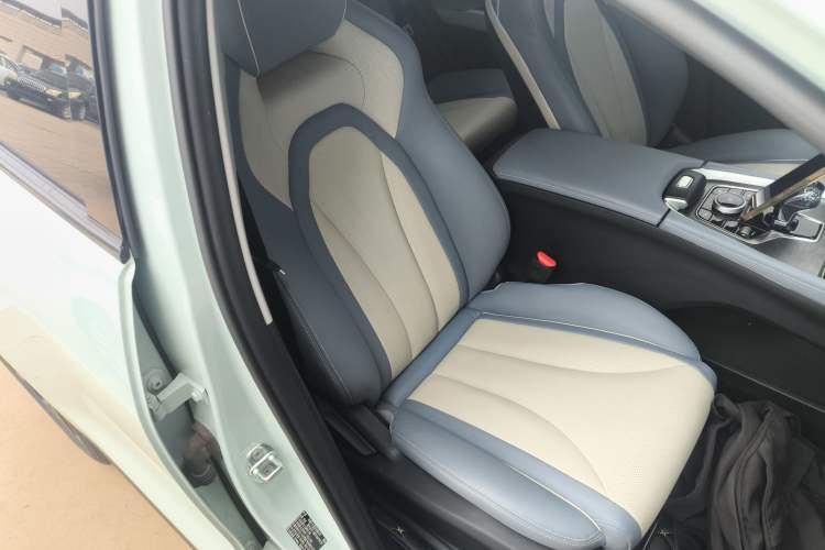 Used Chery OMODA 2022 1.6 TGDI DCT High-Dimensional Version Right Front Seat