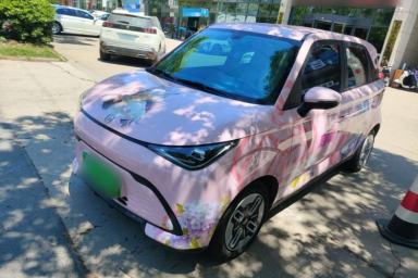 Used Chery QQ Domi 2025 Model 305km Comfort Edition