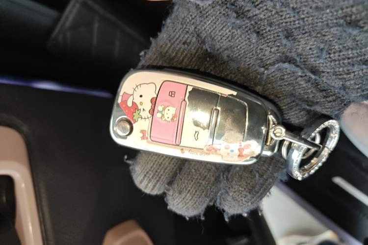 Used Chery QQ Ice Cream 2024 170km Sundae Vehicle Key