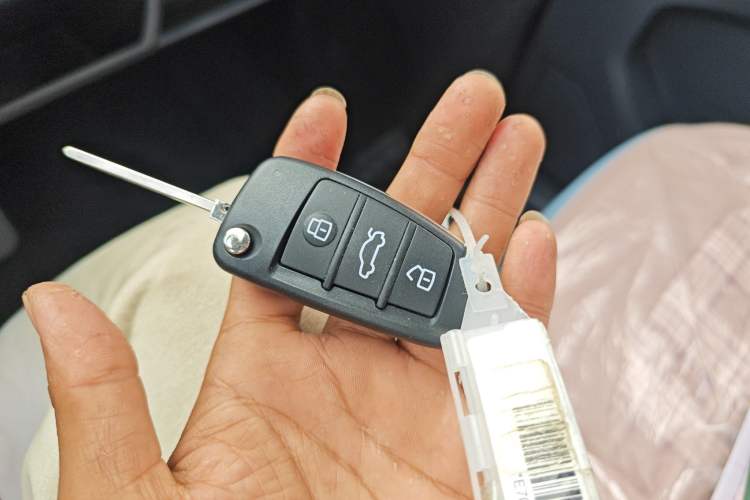 Used Chery QQ Ice Cream 2025 155km Sundae Edition Vehicle Key
