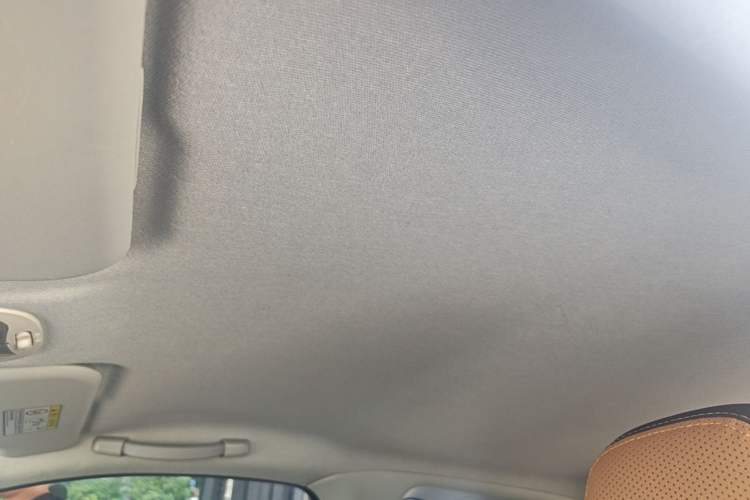 Used Chery QQ Little Ant 2018 400 4-Seater Smart Luxury Edition Headliner