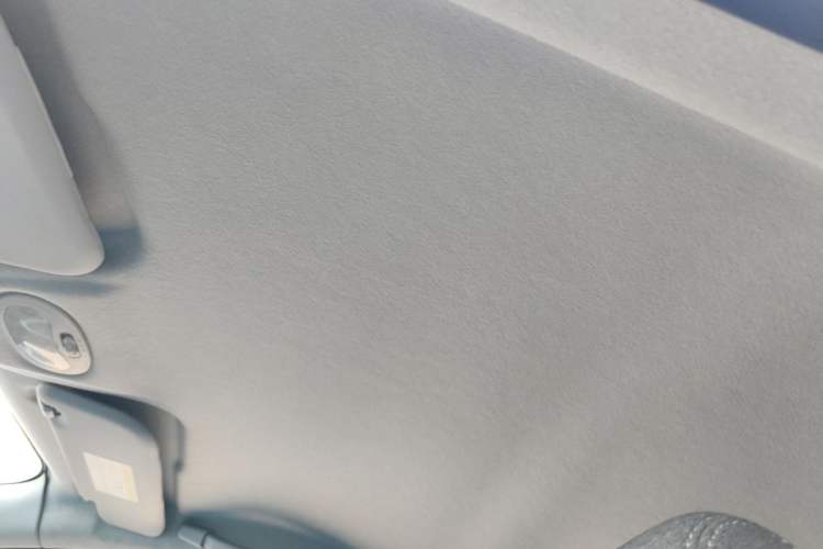 Used Chery QQ Little Ant 2018 400 4-Seater Smart Edition Headliner