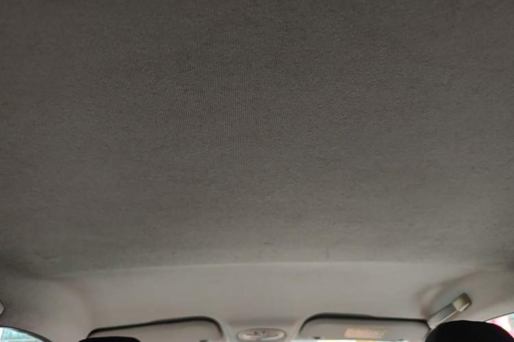 Used Chery QQ Little Ant 2018 300 4-Seater Smart Edition Headliner