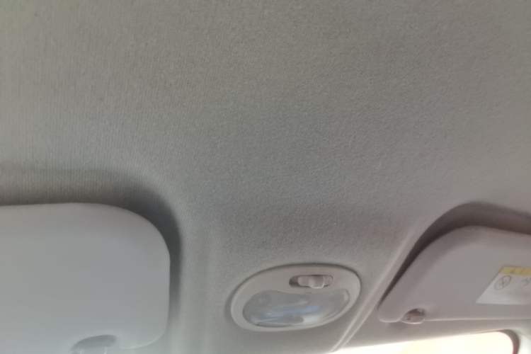Used Chery QQ Little Ant 2019 4-Seater Smart Edition 30.6 kWh Headliner