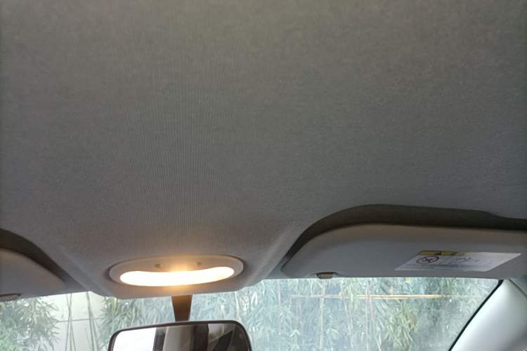 Used Chery QQ Little Ant 2019 4-Seater Smart Edition 30.6 kWh Headliner